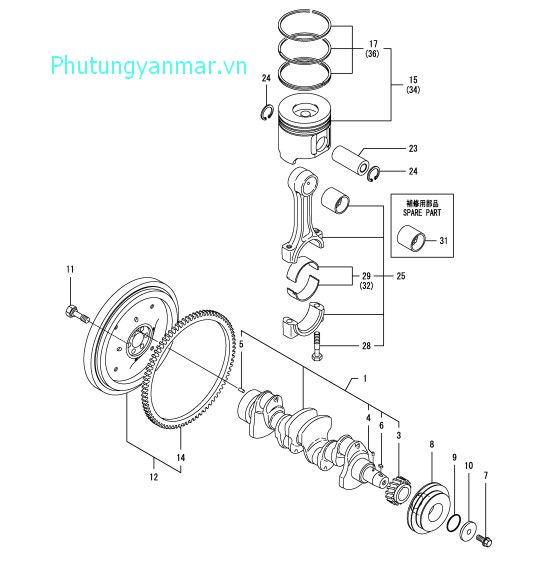 Pit tông và trục khuỷu